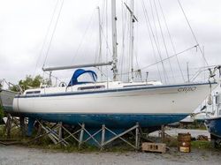 1980 Moody 36