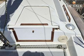 Picture 17