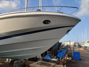 Regal 2250 Cuddy  - Bow