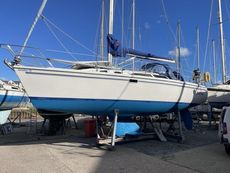 CATALINA 320