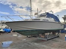 1999 Triana Tantarella