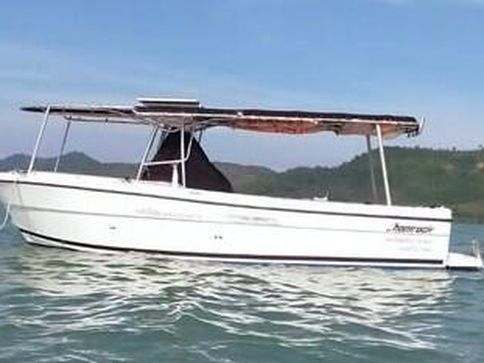 SHAMROCK 270  RUNABOUT DIVE FISHING