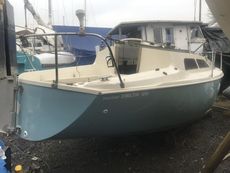Hunter delta 25