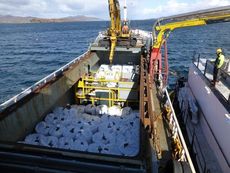 FISH FEED DISPERSAL SYSTEM FOR SALE