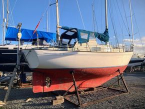 Neptune 33  - Main Photo