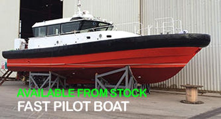 Besiktas Workboats Pilot Boat for sale UAE, Besiktas Workboats boats ...