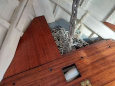 1953 Wooden  Sailing Yacht