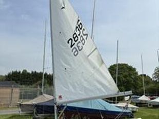 Gull 2836