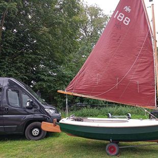 Cornish Cormorant 188