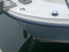 Trophy 1952 Walkaround  - Bow