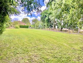 Front paddock 