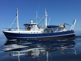 1968 OFFSHORE Guard - Chase - Utility - Support Vessel