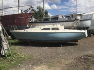 Hunter delta 25