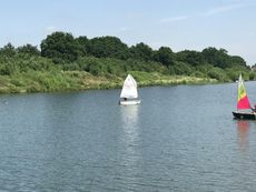 Winner MK1 Optimist