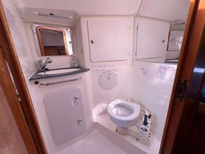 Bavaria 36 Cruiser 3 Cabin version - Heads