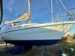Hunter horizon 32