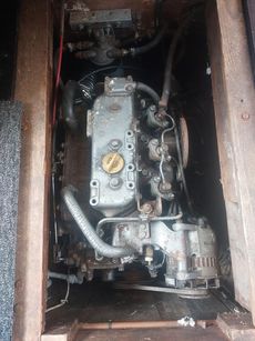 Norman 27 (available)