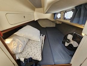   - Aft Cabin
