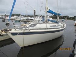 Share of Westerly Falcon in Lymington