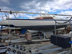 International H Boat