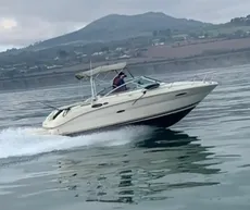 2003 Sea Ray 225 Weekender