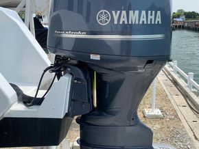 Passenger Vessel Day Cruiser Flybridge - Engine