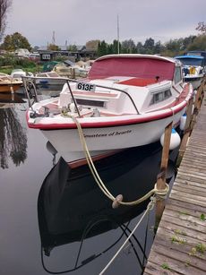 Aqua fibre 38