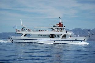 220PAX VINTAGE DAY CRUISER