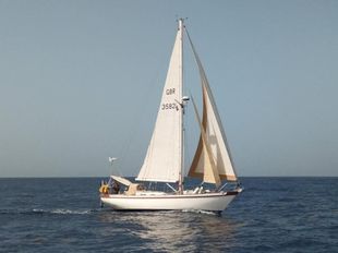Tradewind 35