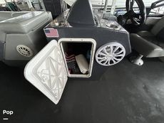 2022 Massimo Marine P23