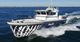 19m Pilot Boat