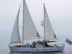 1964 VAN DEN AKKER IV