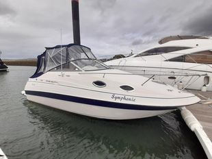 1999 Regal Commodore 242