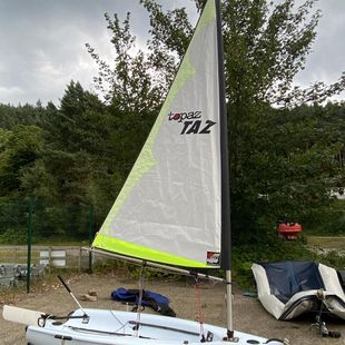 Topper Topaz Taz in excellent condition