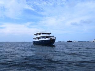 Dive Liveaboard Boat