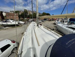 IMG 0131
