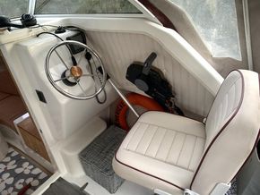 Shetland Family Four  - Helm