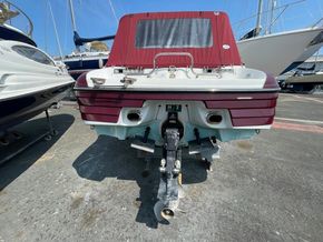 8911205 20230617014434672 1 XLARGE