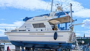 1984 Princess 38 Fly