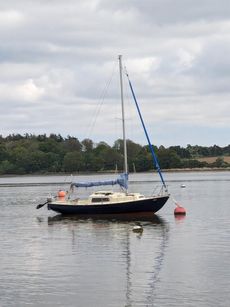 Corribee mk2