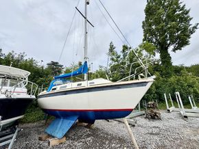 IMG 2020