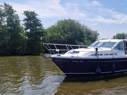 Haines 35