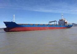 262 TEU MPP Container Ship