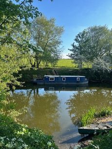 Papillion Wide Beam Reduced For Quick Sale Bristol UK