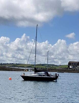 Hunter Delta Lifting Keel great value.