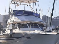 30ft Ace Craft with flybridge