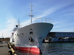 56.7m Fishing Vessel