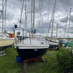 Macwester Rowan Crown 24 - Reduced