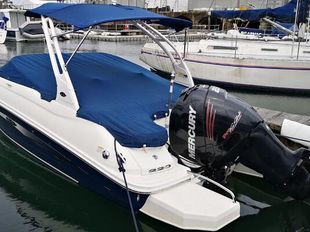 Sea Ray 220 Sundeck Outboard