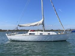 Contessa 26